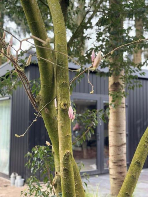 Veluwe Boutique Lodge Putten Bagian luar foto