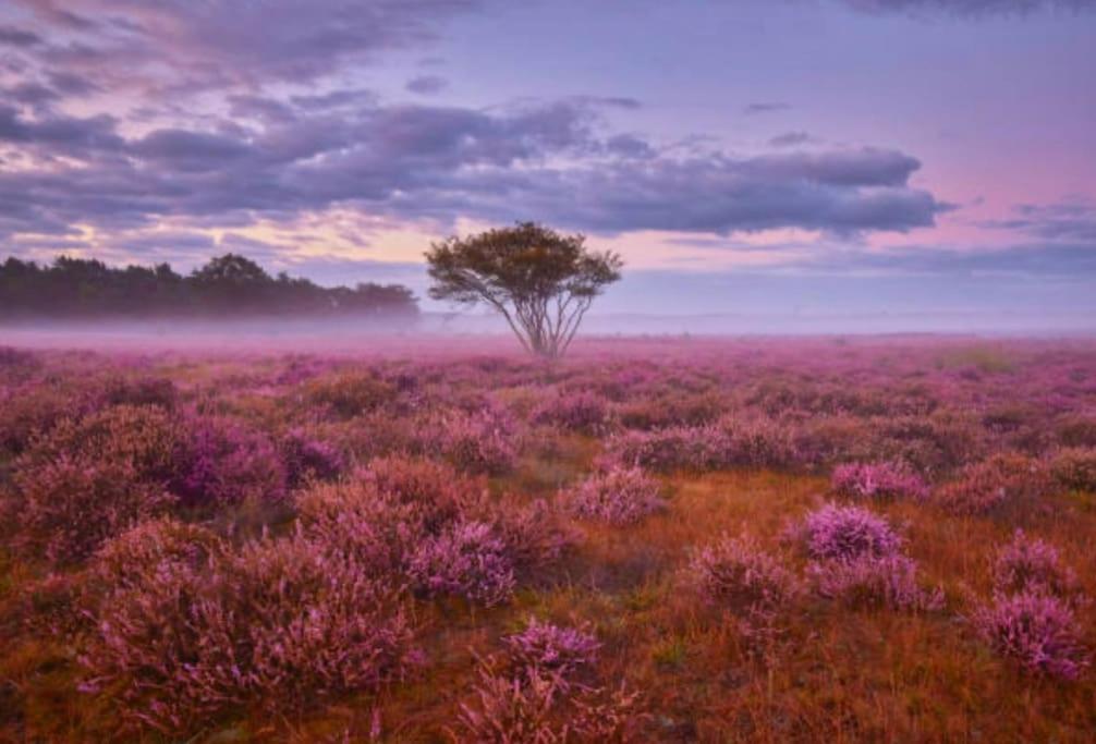 Veluwe Boutique Lodge Putten Bagian luar foto